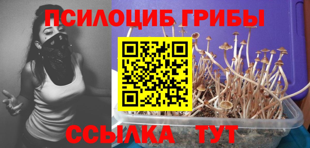 Псилоцибиновые грибы прущие грибы  Галлюциногенные грибы Cubensis  Вход с VPN  Выкса 
